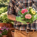 Professionele tuinman in Utrecht werkt aan tuinonderhoud en tuinbouw met expertise en vakkundigheid