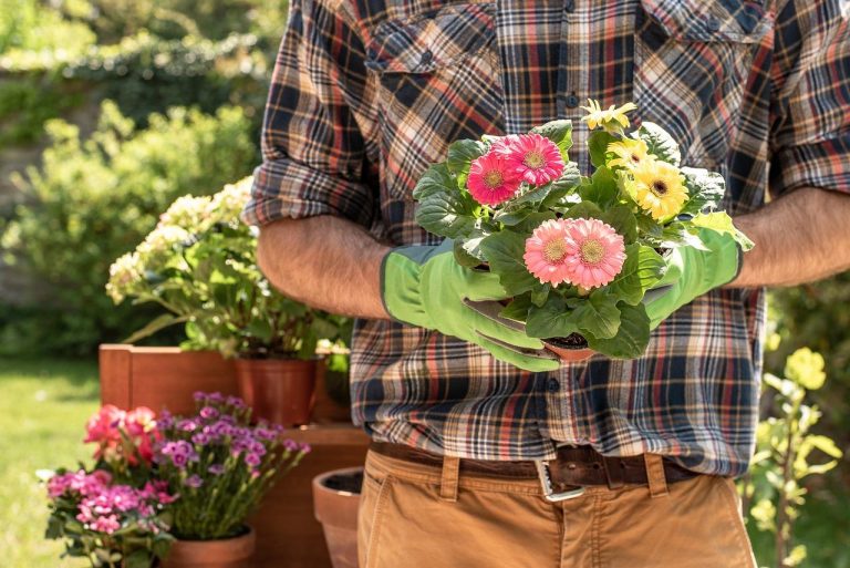Professionele tuinman in Utrecht werkt aan tuinonderhoud en tuinbouw met expertise en vakkundigheid