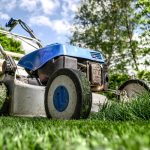 Zwemvijver in een groene tuin met natuurlijke beplanting en helder water