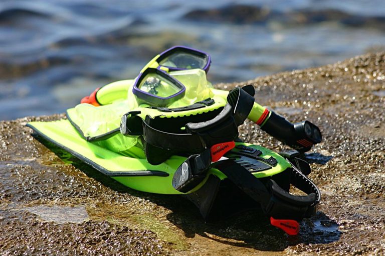 Snorkeluitrusting en tips: masker, snorkel en vinnen voor veilig snorkelen in het water