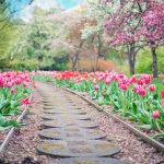 Inspiratie voor je tuin opfrissen met kleurrijke bloemen, houten schutting en tuinaccessoires