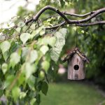 Voorbeeld van tuinrenovatie met vernieuwde bestrating en beplanting voor een opgefrischt tuinontwerp