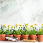 Inspiratiefoto voor wooninspiratie en tuinideeën met verschillende zones, materialen en lagen in huis en tuin