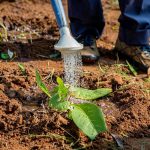 Visueel stappenplan voor het organiseren van huis en tuin met zones, routines en onderhoudsschema's voor een schoon en groen