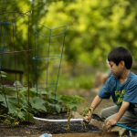 Overzicht stappenplan voor meer rust in huis en plezier in de tuin met tips voor looproutes, verlichting en tuinzones