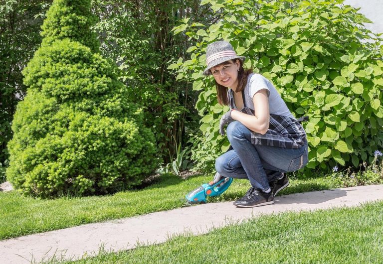 Praktische gids gezond wonen en tuinonderhoud met stappen voor ventilatie, bodemkwaliteit en preventief onderhoudsschema