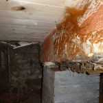 Visuele gids voor het herkennen van houtaantasters in huis, inclusief signalen als gaatjes en zaagsel